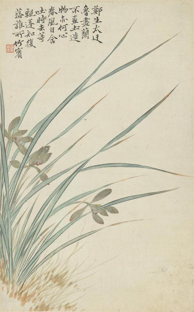 Orchids