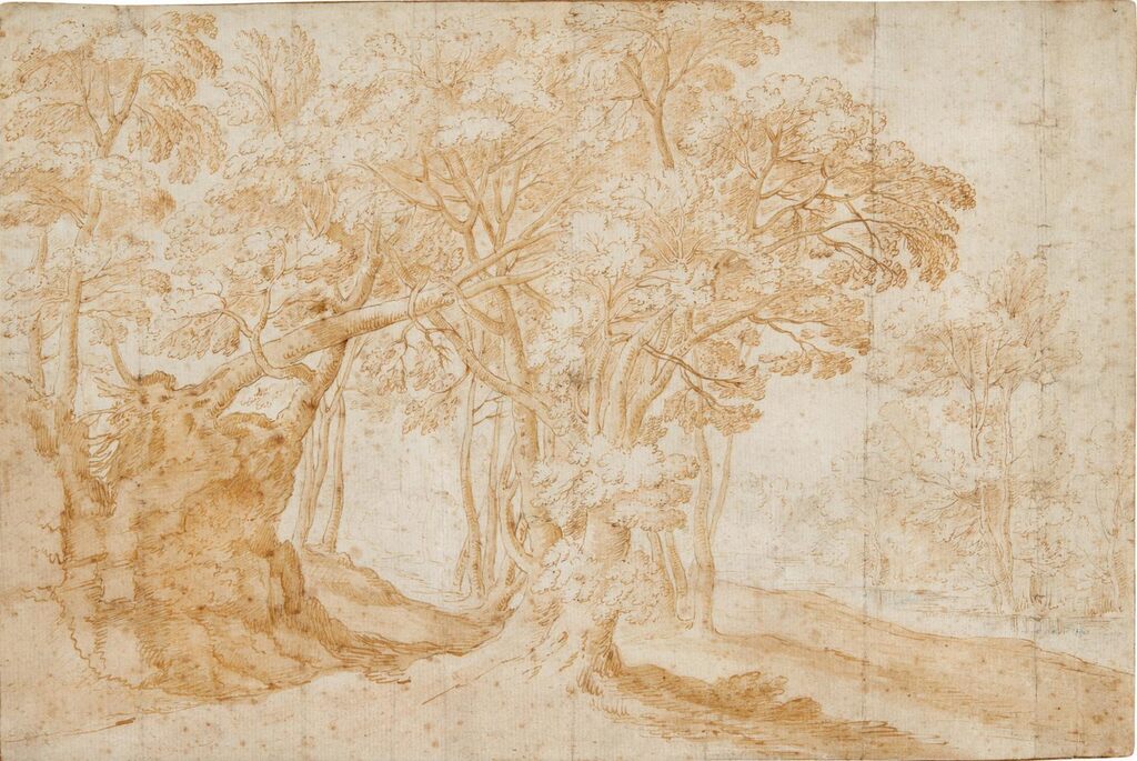 Wooded landscape with a river