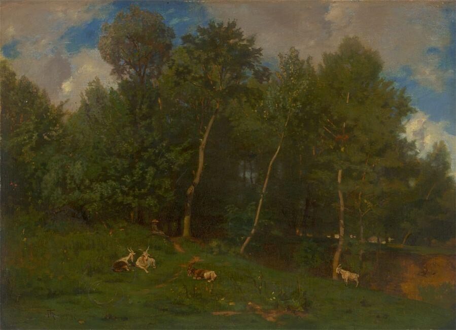 Summery Meadow