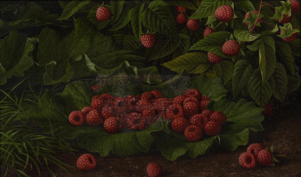 Raspberries and Leaves, A Plein-Air Still Life