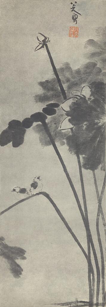 LOTUS