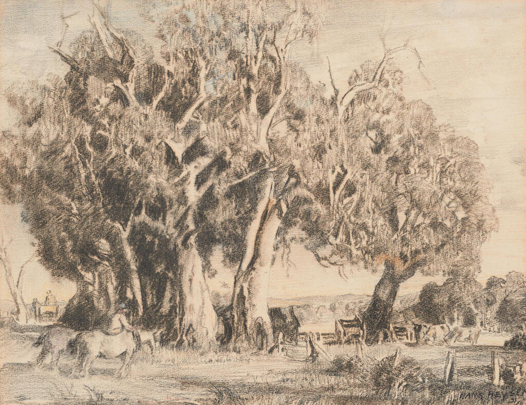 Rural Landscape