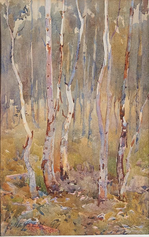 Study of Young Gums