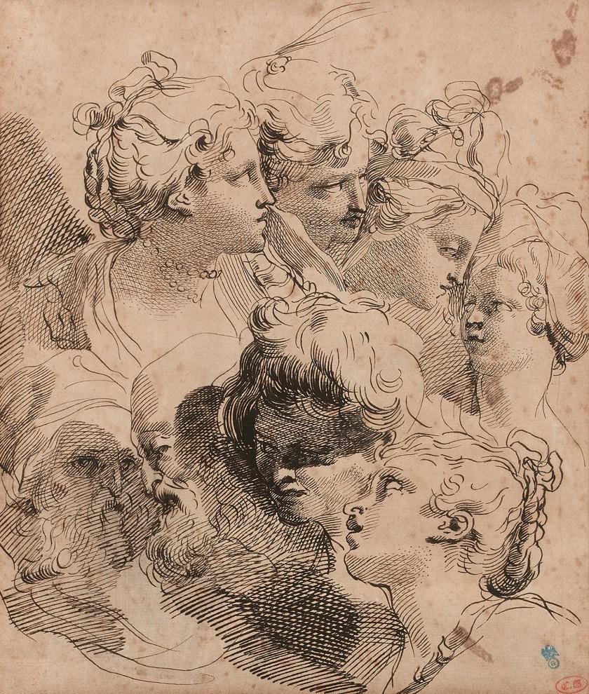Head study