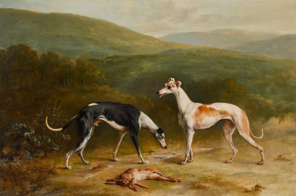 A pair of greyhounds in a landscape