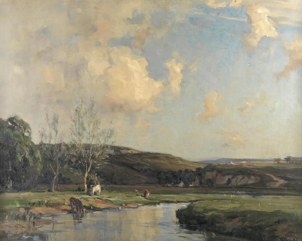Cattle watering on a summer's day