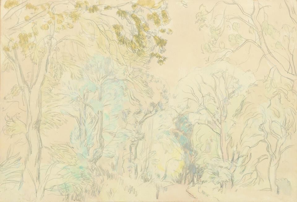Forest Path