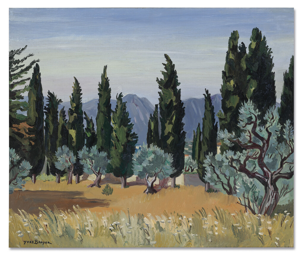Cyprès à Mougins (Cypresses in Mougins)