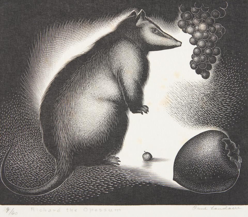 Richard the Opossum