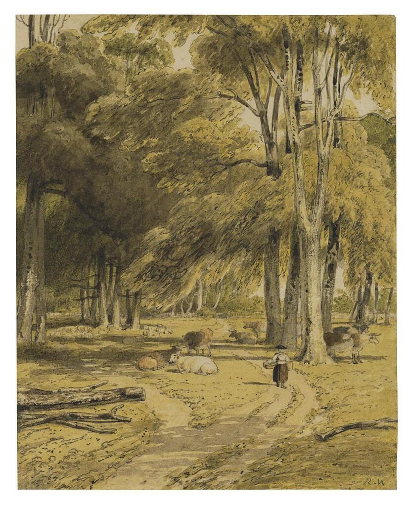 Woods near Clifton, Bristol