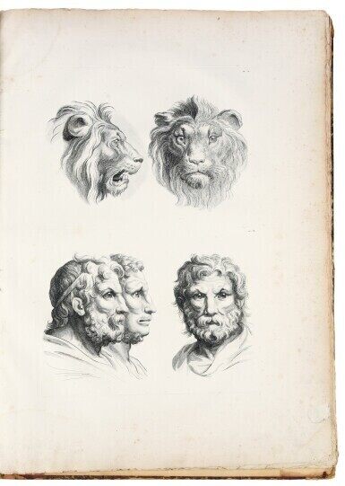 Human character traits determined by animal resemblances