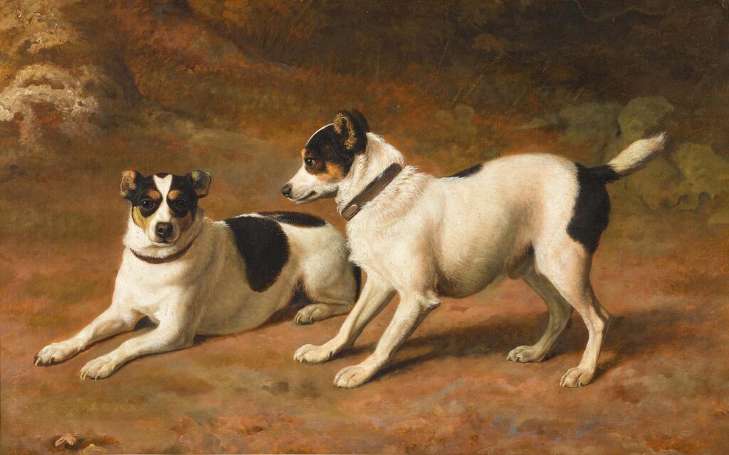 Two fox terriers in a landscape