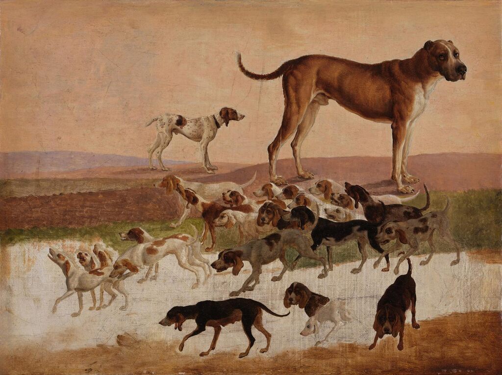 Study of Dogs