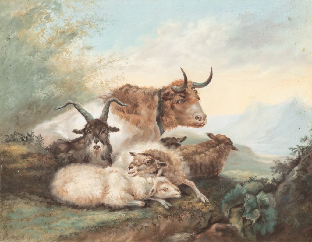 Troupeau de Merinos sur un fond de paysage