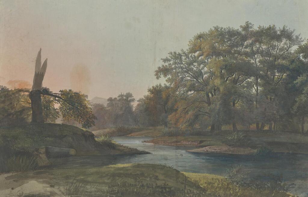 A wooded landscape (recto); and studies of horses (verso)