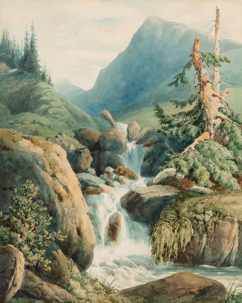 Torrent au Chamossaire