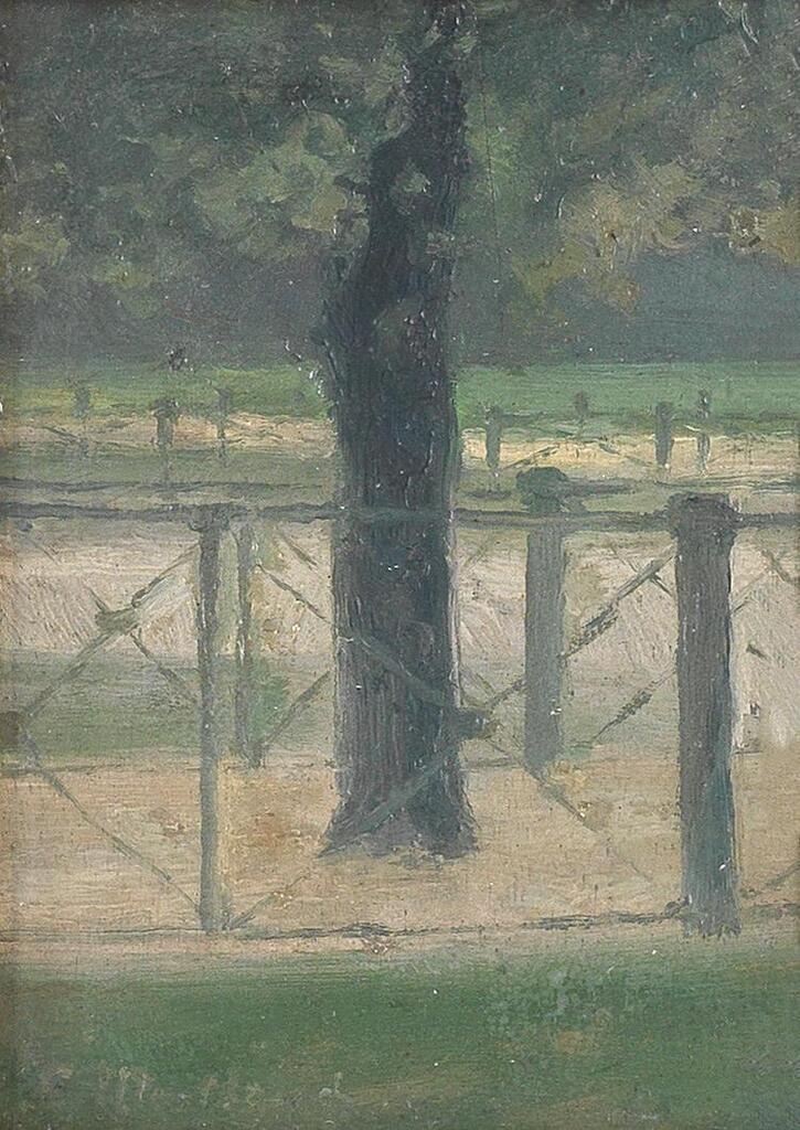 'Footpaths of Hyde Park'