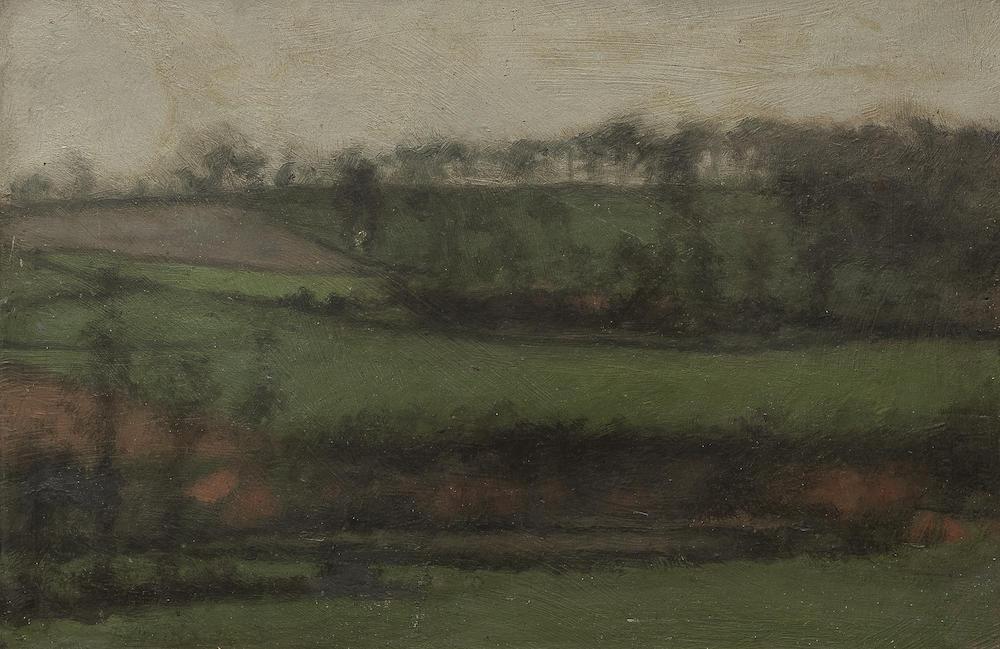 Fields near Exmoor