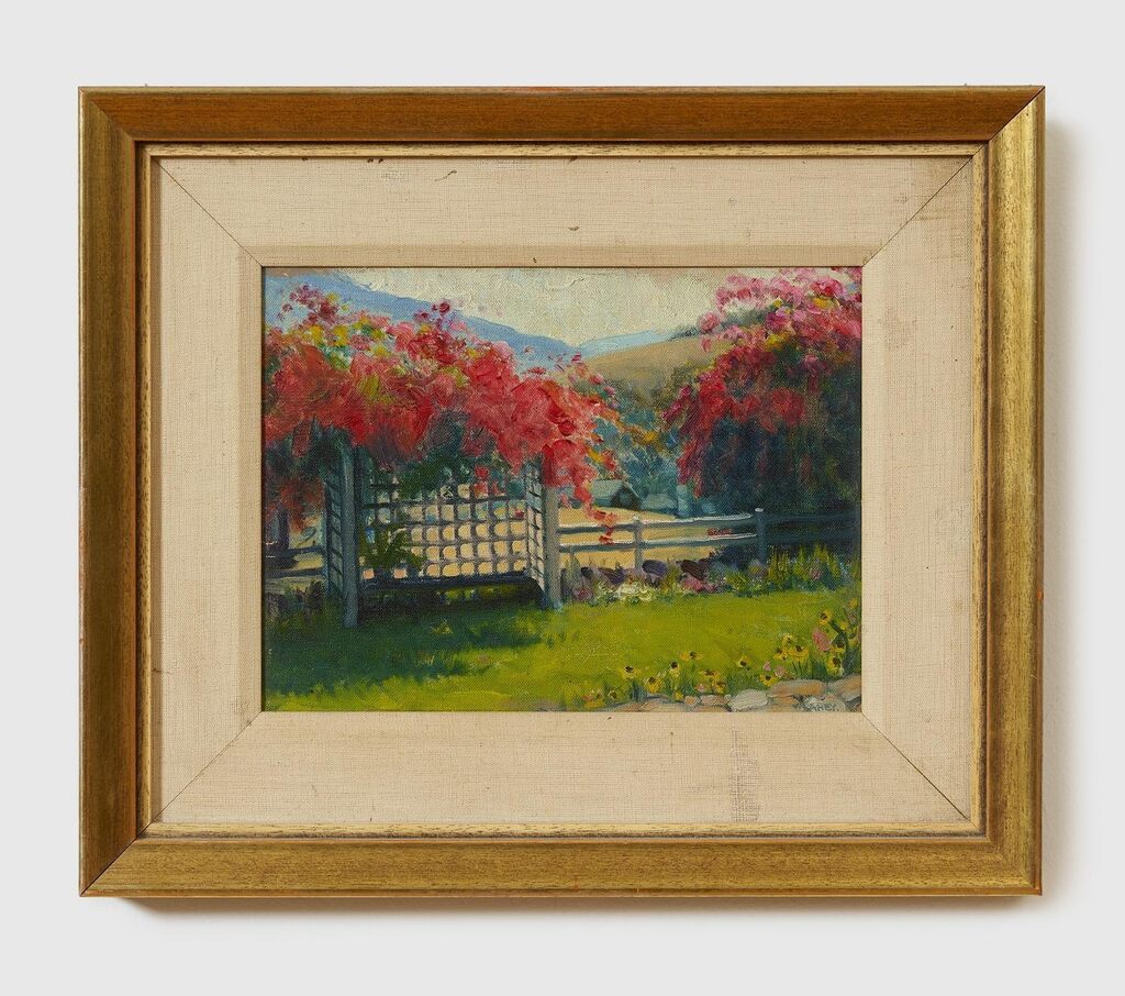 Bougainvillea, Canungra