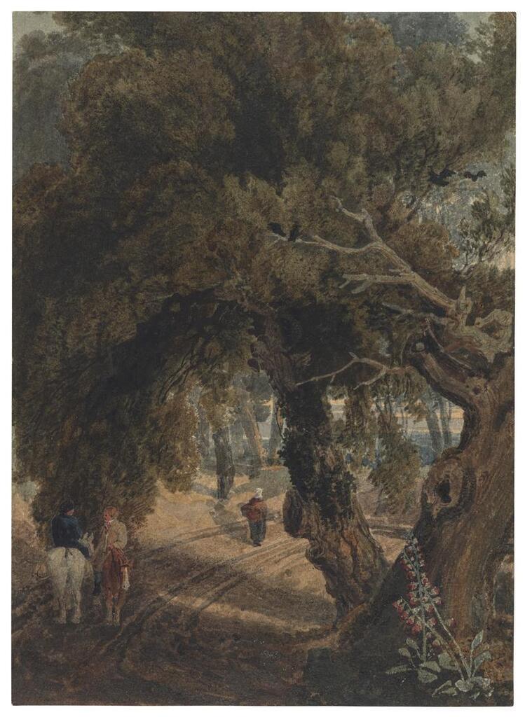 Travellers on a path
