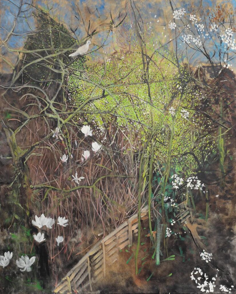 The Wild Plum Tree