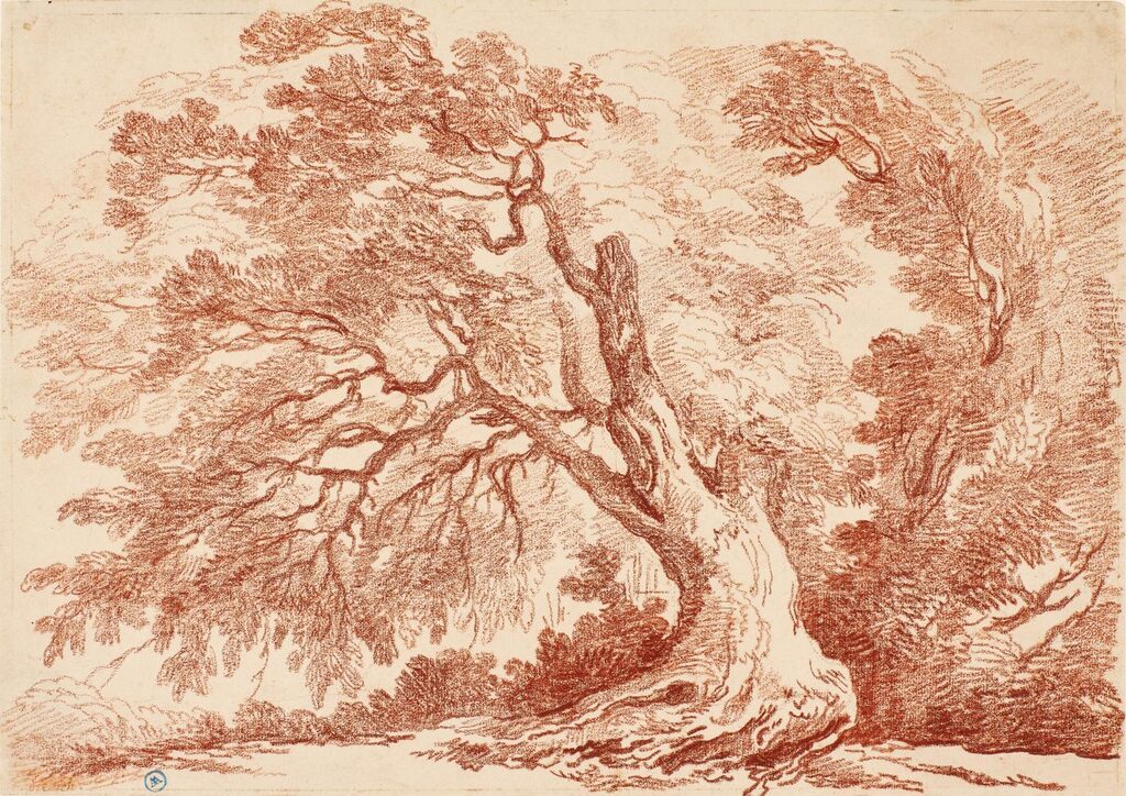 Study of a Tree