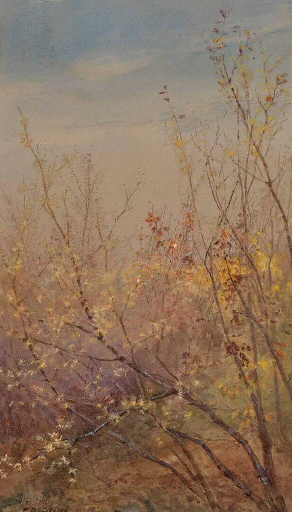 Autumn in the Marsh