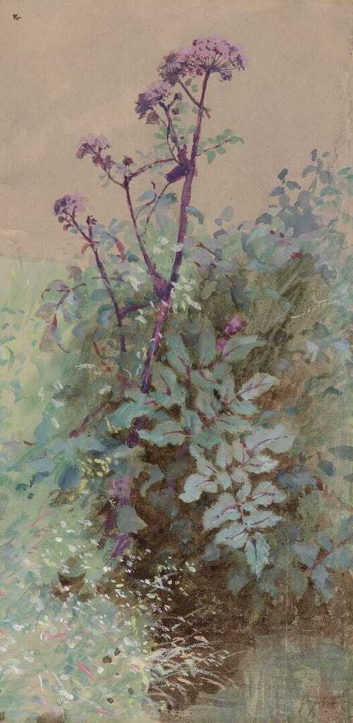 Weeds