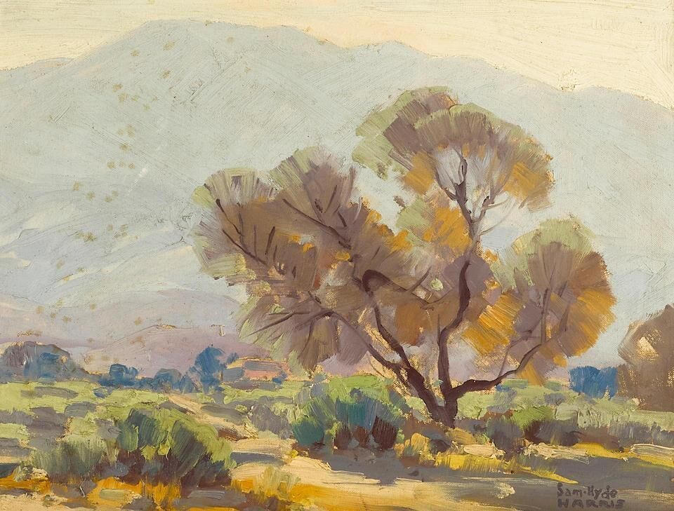 Mountains and Trees
