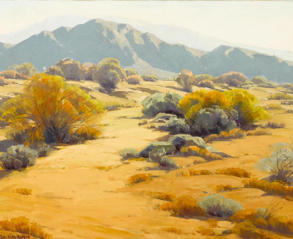 Desert brush and mountains