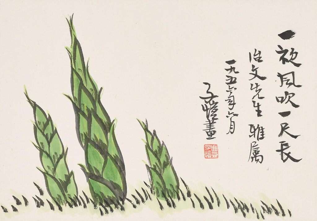 Bamboo Shoot