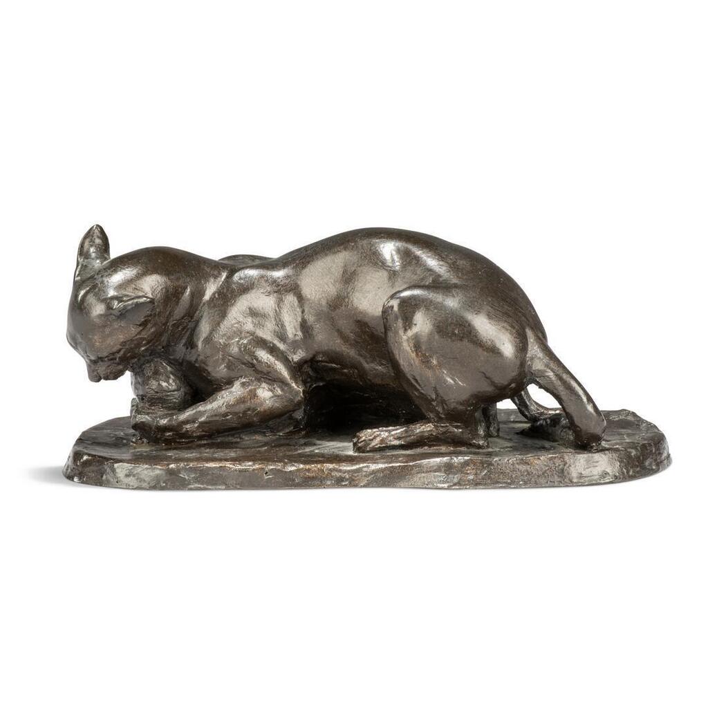 Cats Playing