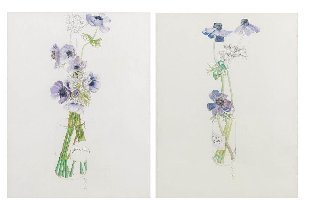 Floral Studies