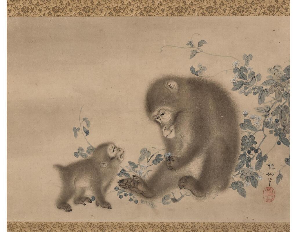 Monkeys