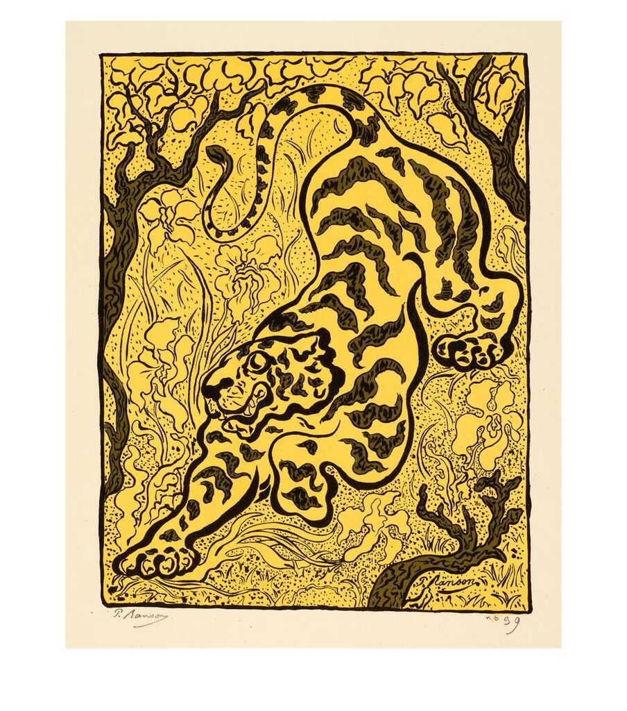Tigre dans les jungles