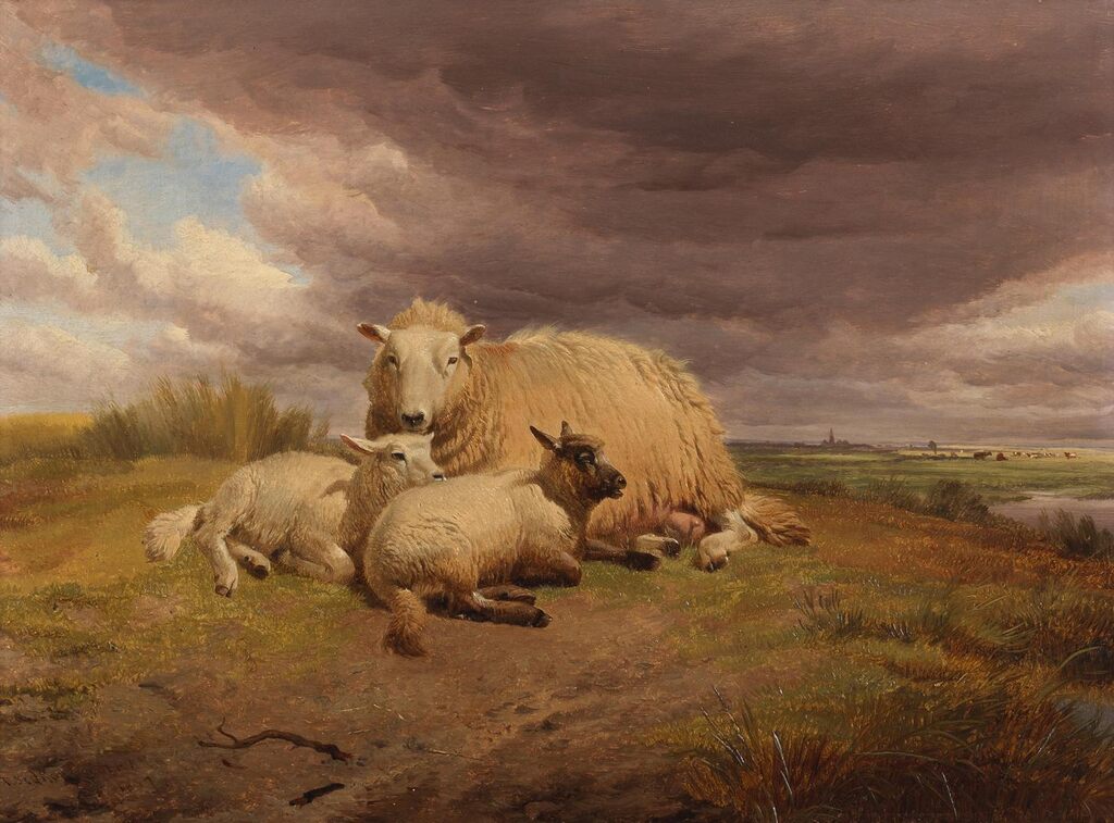 Ewe and two lambs