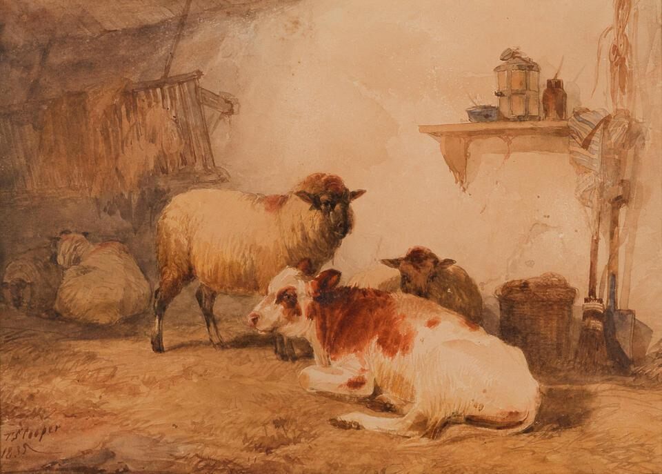 Sheep and a calf in a stable