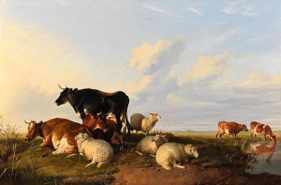 Sheep and cattle resting by the riverbank
