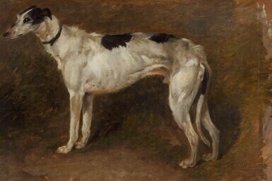 Study of a Lurcher
