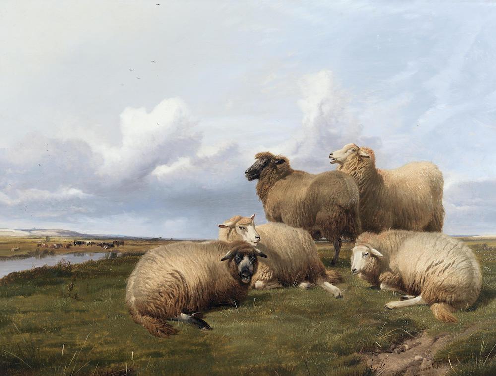 In Canterbury meadows