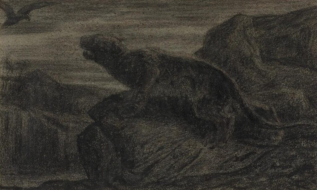 Bird and feline in a rocky landscape