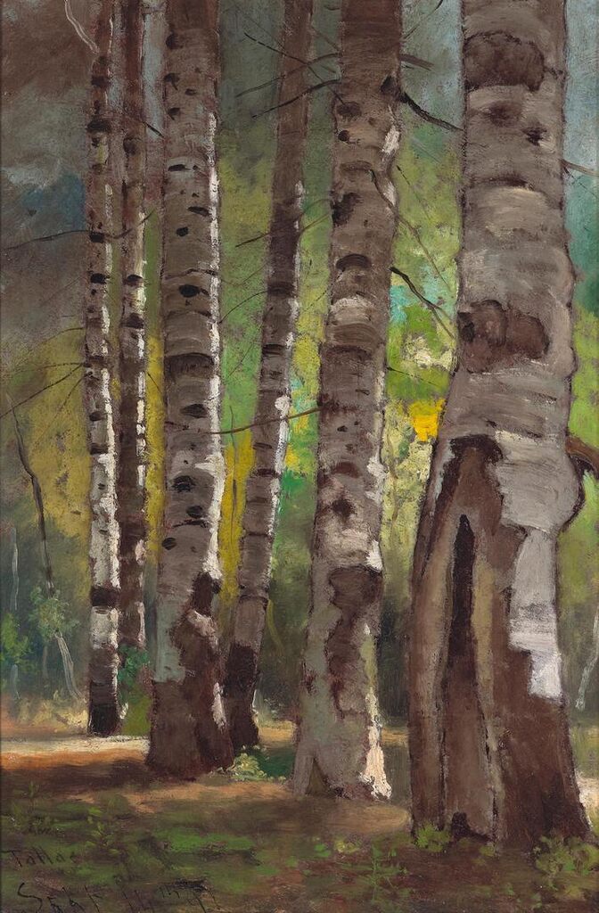 Tallac (Aspens Near Fallen Leaf Lake)