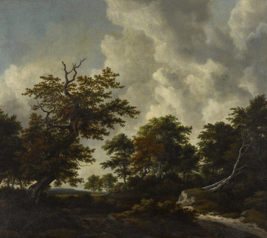 Bosky landscape with a large oak and two fallen beeches by a waterfall