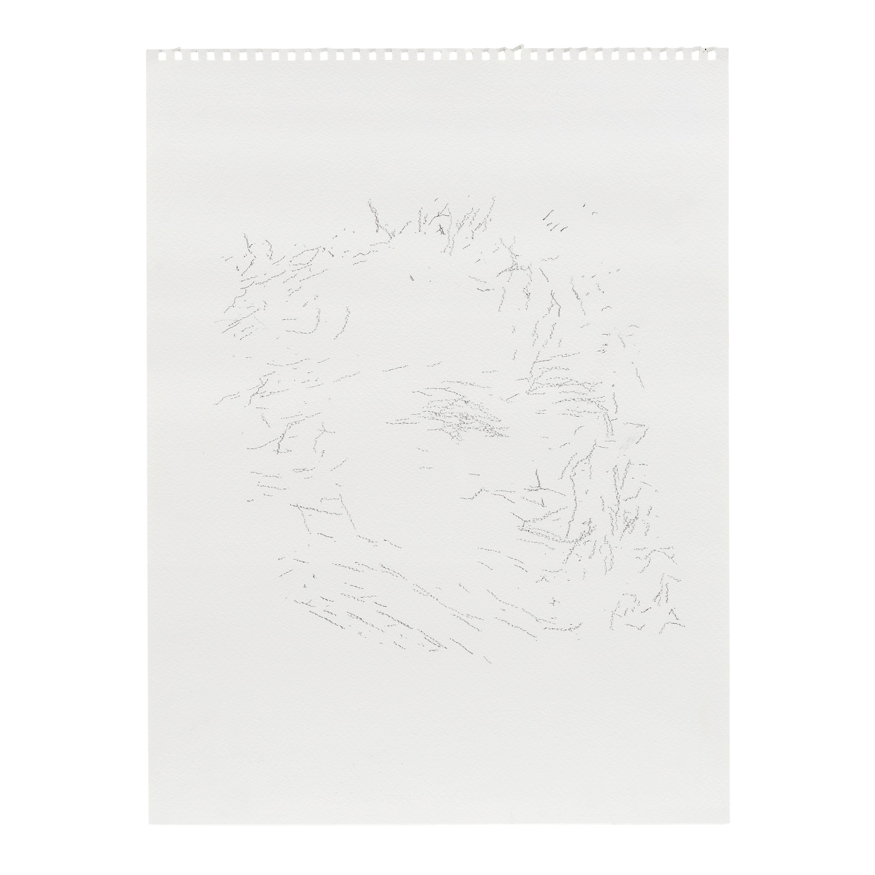 AI-DA ROBOT Ai-Da Draws Mozart (Executed on 5 September 2019)