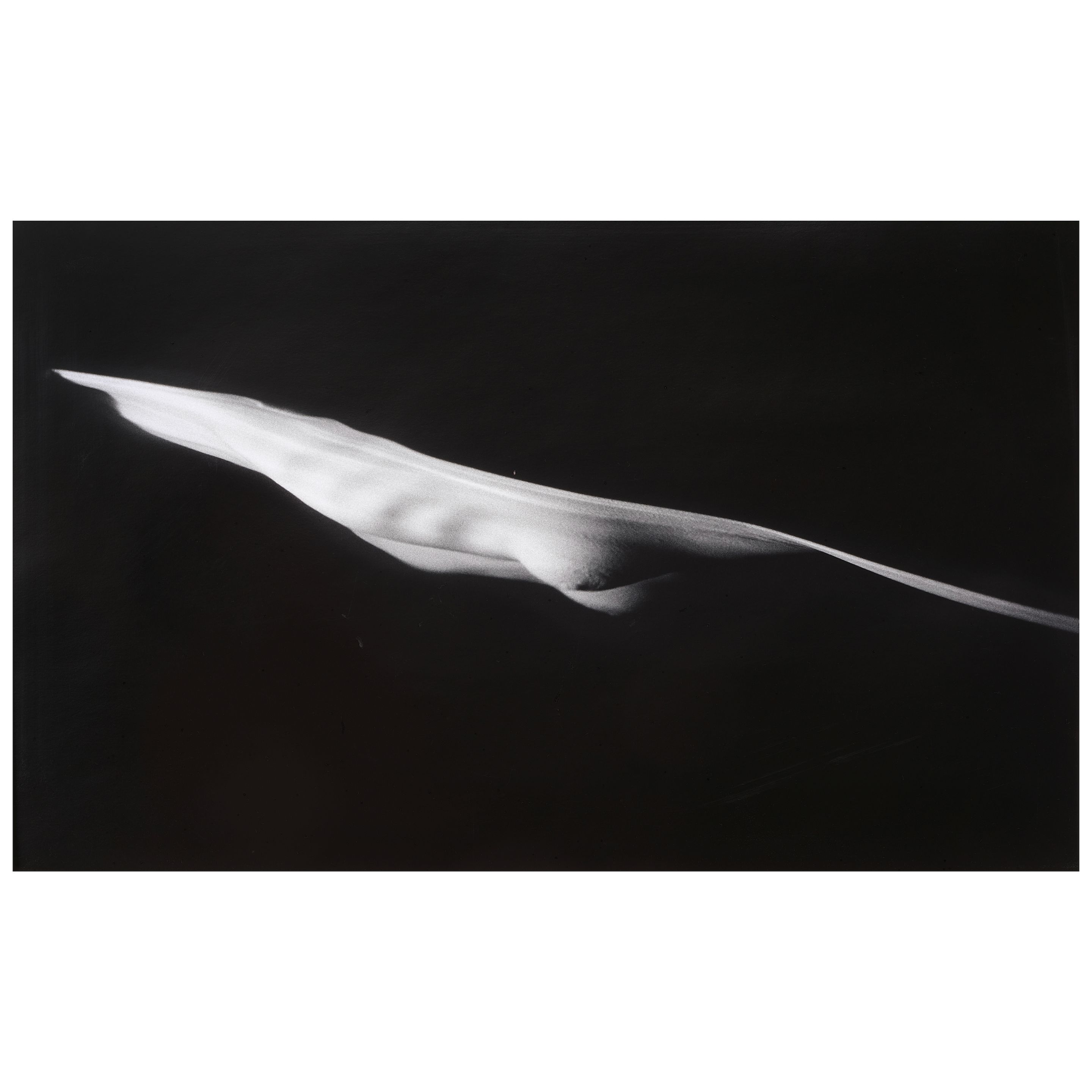 Connie Imboden (born 1953); Untitled #4442;