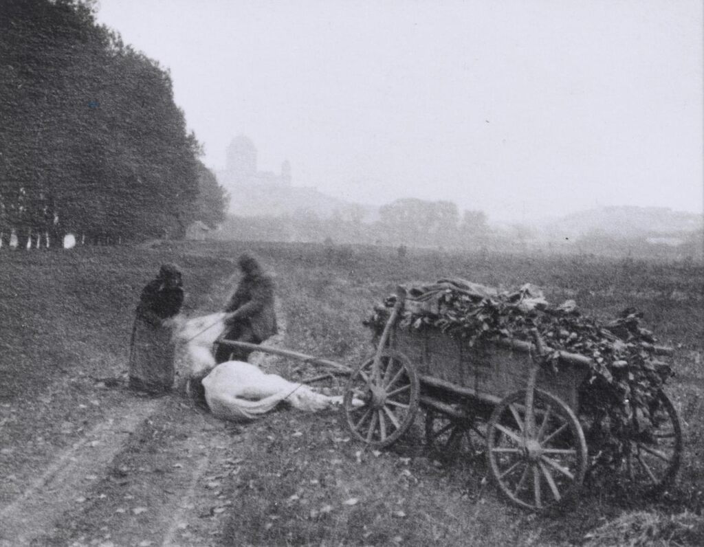 Country Accident, Esztergom, September
