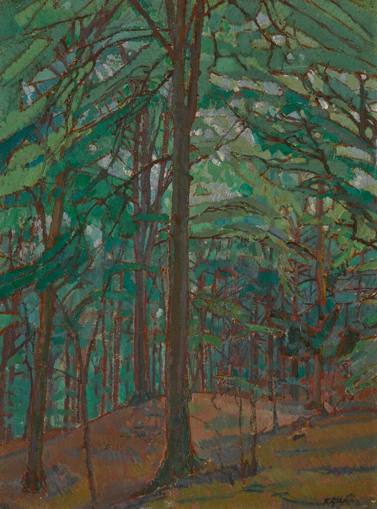 Study in Trees, Beechwood