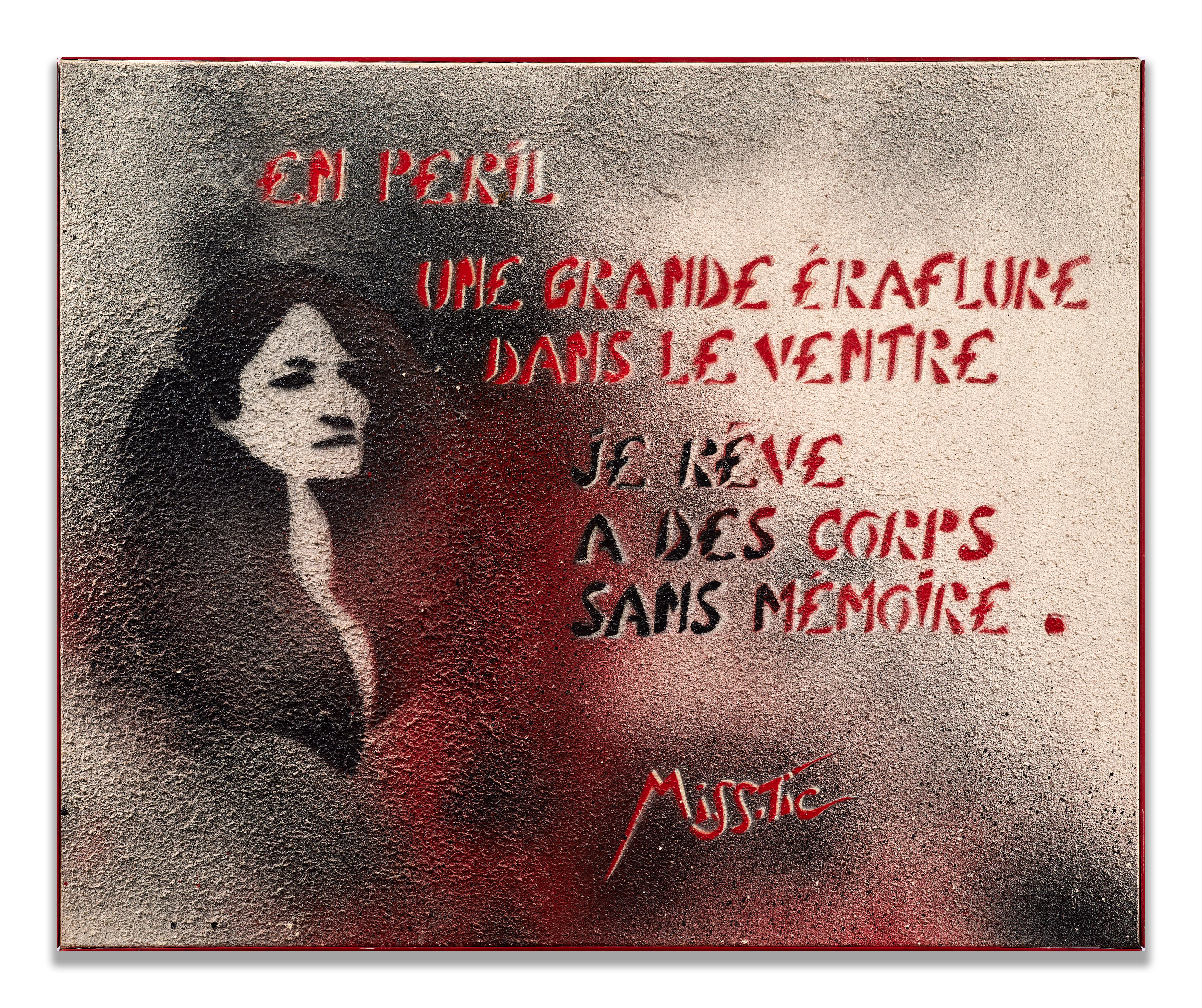 En péril une grand éraflure dans le ventre je rêve à des corps sans mémoire
