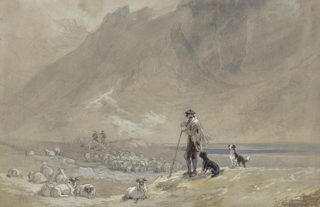 The Highland Shepherd