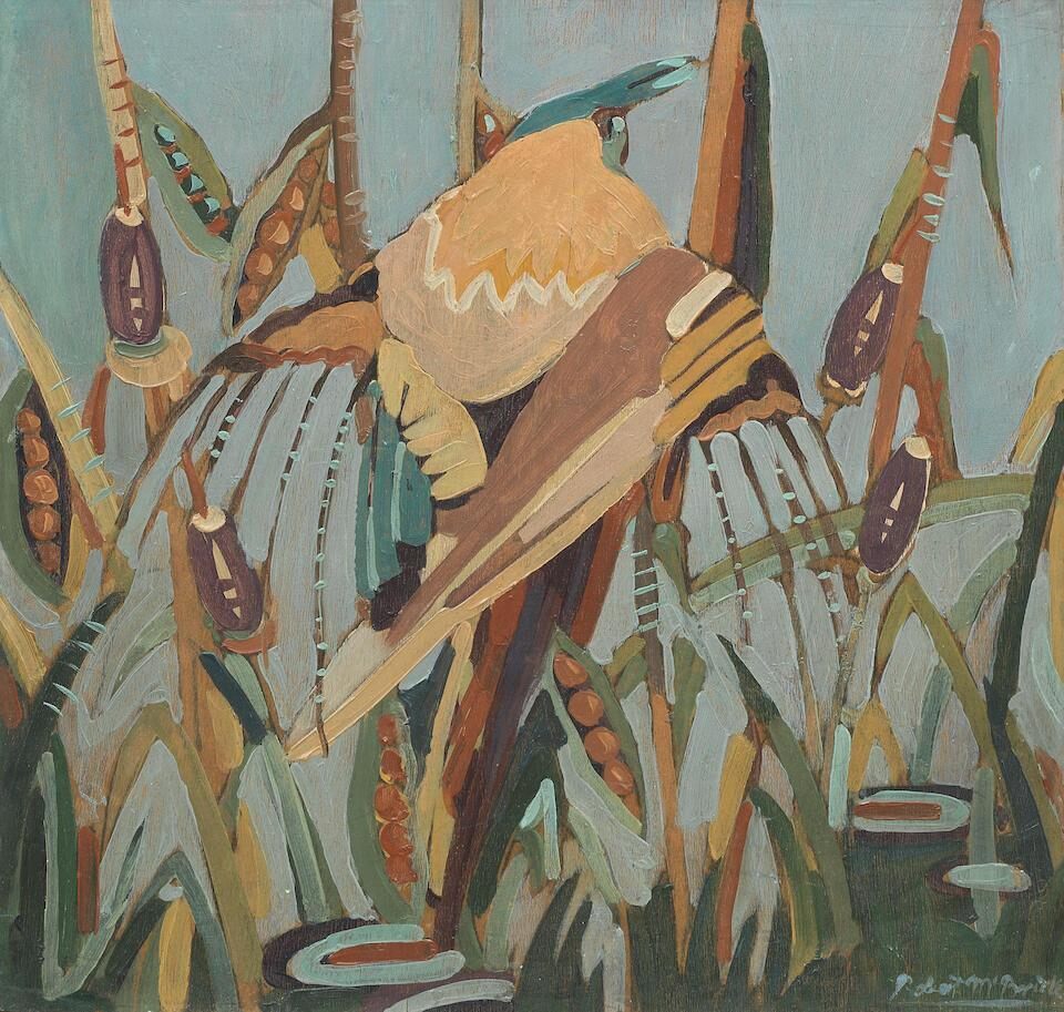 Bird of Paradise